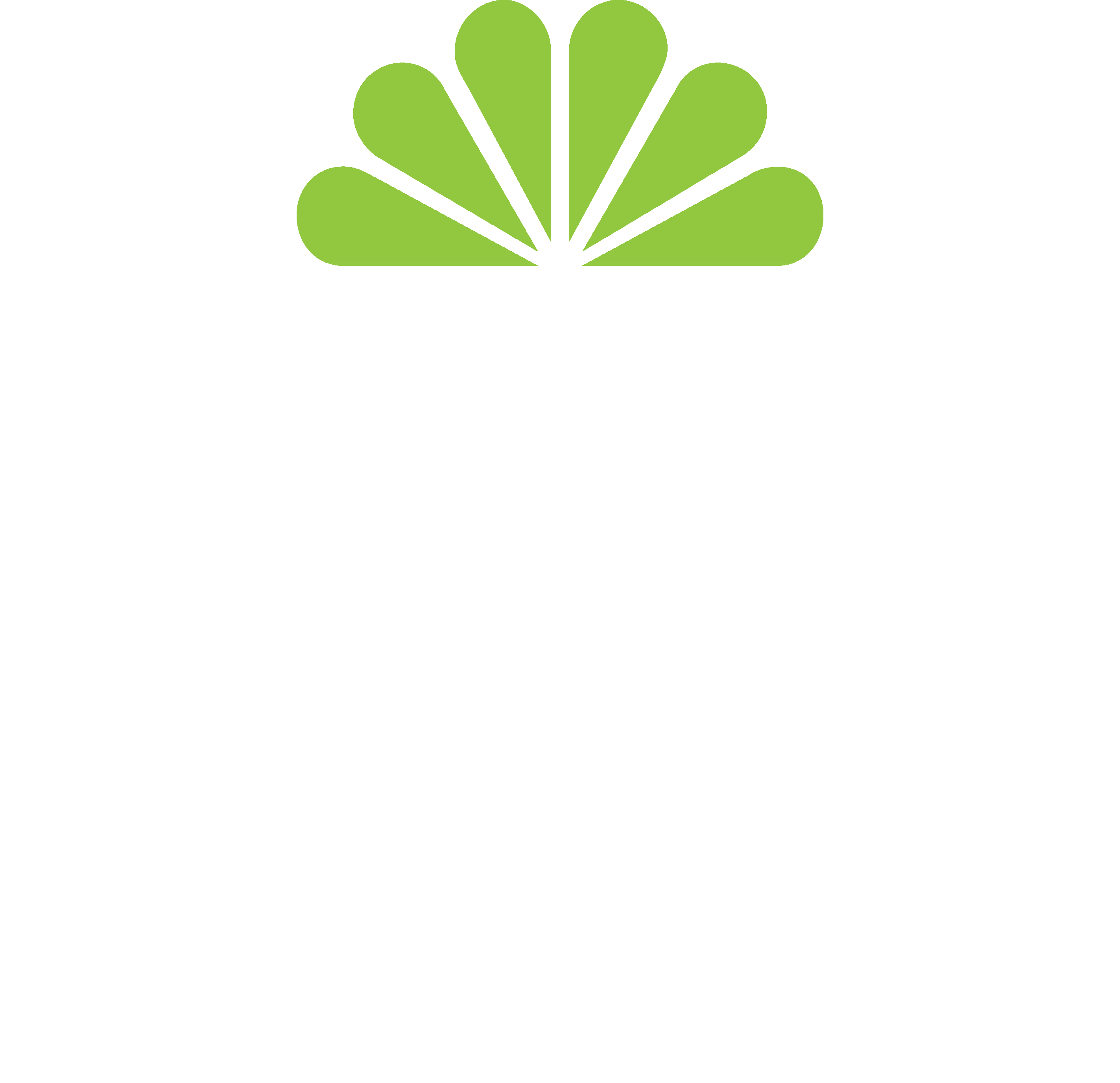 Metro Department Store