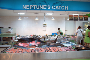 Neptunes catch